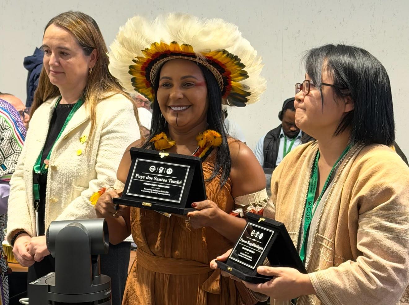 Liderança do Pará é nomeada embaixadora para proteção de florestas primárias.